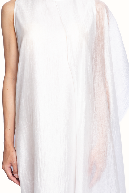 Sari Dress